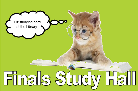 cat with glasses and book. I iz studying hard at the Library. Finals Study hall