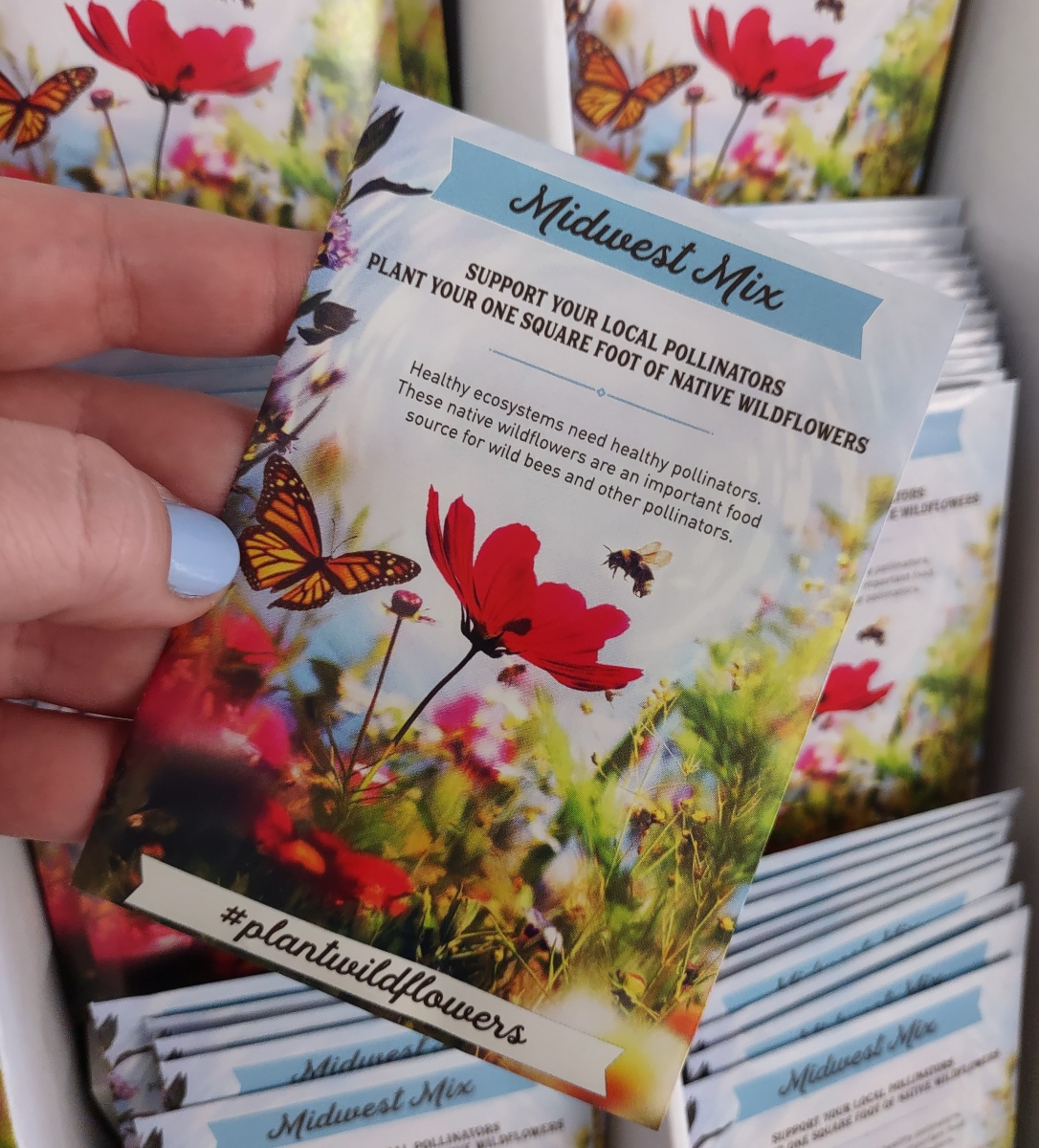 packet of wildflower seeds from the display