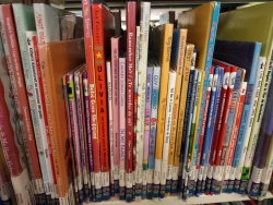 books in Spanish and bilingual books on a shelf