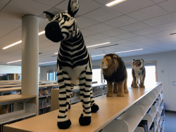 photo of zebra along with leo the lion and stripes the tiger