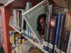 Books in spanish on the shelf in the World Language area