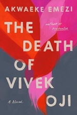 The death of Vivek Oji