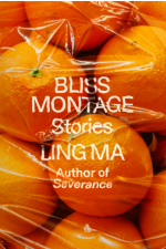 Bliss Montage Stories